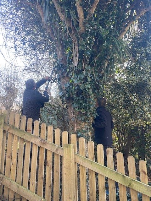 ITC Gardening Angels Image One