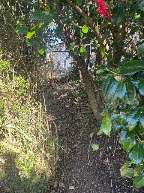 ITC Gardening Angels Image Ten